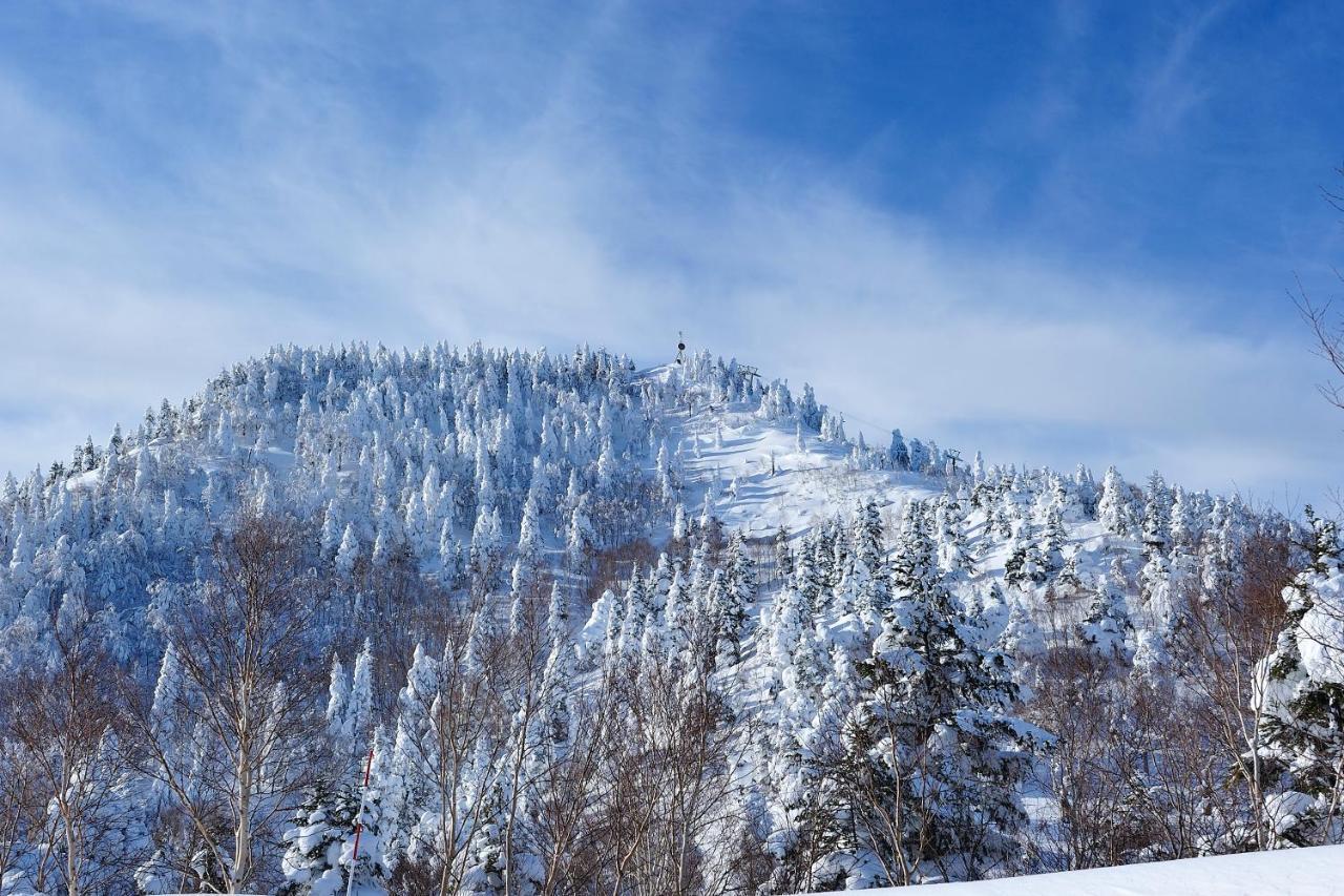 Shiga Kogen Olympic Hotel Yamanouchi  Buitenkant foto